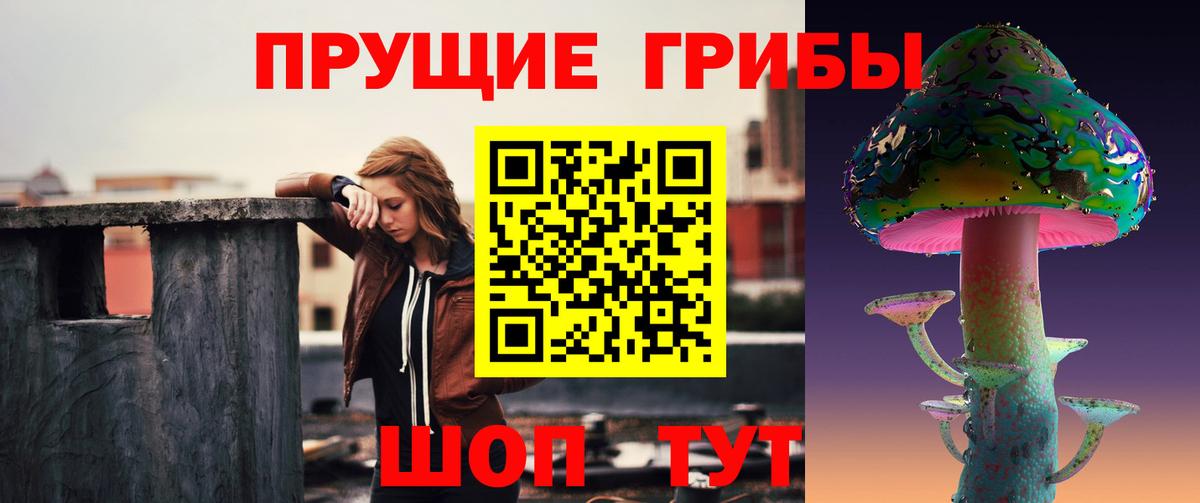 Псилоцибиновые грибы прущие грибы  Псилоцибиновые грибы мицелий  Тюмень  Вход с VPN 